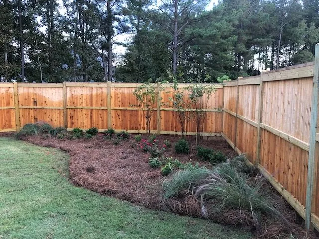 Curved pine straw bed with ornamental grasses and young trees along a new wood fence, a Groundcare Landscape job