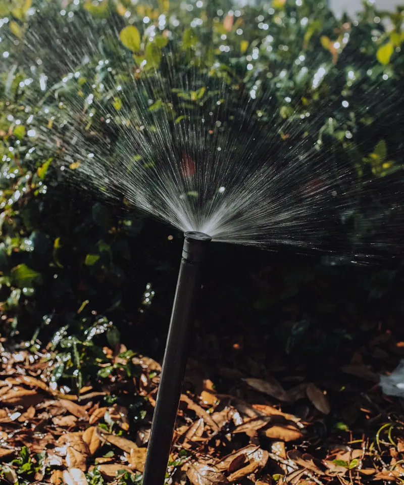Sprinkler head on a riser watering a shrub bed