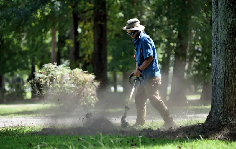 Worker edging a lawn with a string trimmer under tall trees
