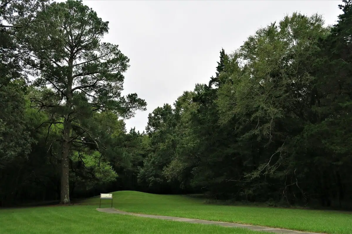 Mowed lawn ringed by tall pines at the Boyd Mounds site on the Natchez Trace Parkway near Ridgeland, Mississippi