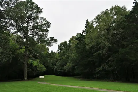 Mowed lawn ringed by tall pines at the Boyd Mounds site on the Natchez Trace Parkway near Ridgeland, Mississippi