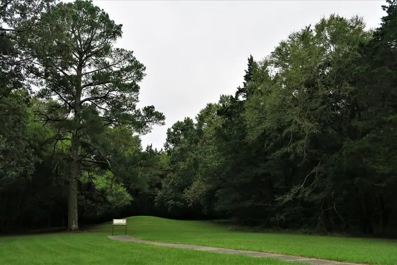 Mowed lawn ringed by tall pines at the Boyd Mounds site on the Natchez Trace Parkway near Ridgeland, Mississippi